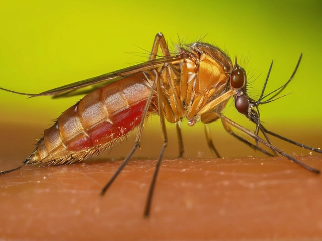 Febre Oropouche: Entenda a Doença que Preocupa o Brasil